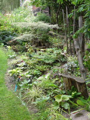 2020-08-30 Garteneinblick 4.jpg