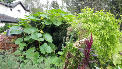 IMG-20200830-WA0011.jpeg