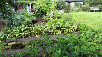 IMG-20200830-WA0009.jpeg