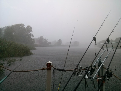 Havel Regen.jpg