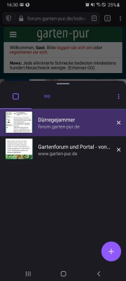 Screenshot_20200831-163019_Firefox.jpg