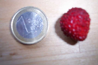 K640_100_4382.JPG