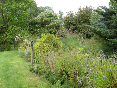 2020-08-31 Gartenimpressionen 3.jpg