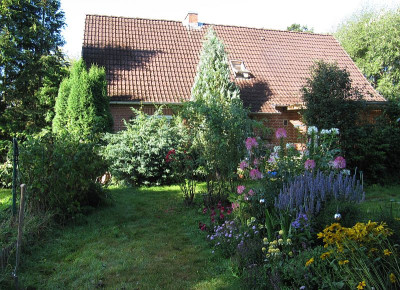 IMG_1999_bei_Alstertalflora_Aug2020_.jpg