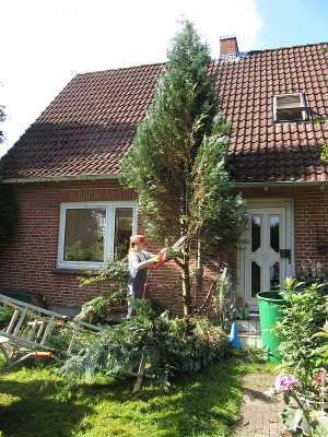 IMG_2005_im_Einsatz_Aug2020_.jpg