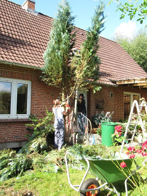 IMG_2009_Arbeitseinsatz_Aug2020_.jpg