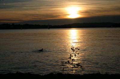 Chiemsee3607.jpg