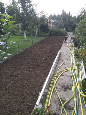 Gemuesebeet200831.jpg