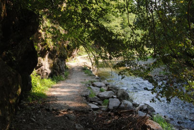 DSC_1267.JPG