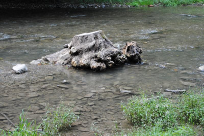 DSC_1326.JPG