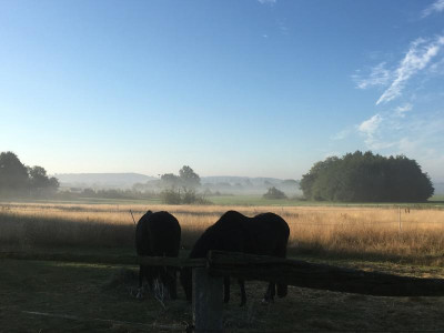 064A1EEA-2B9D-42F4-A638-9F782578DE68.jpeg