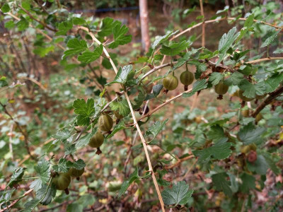 20200903_125621.jpg