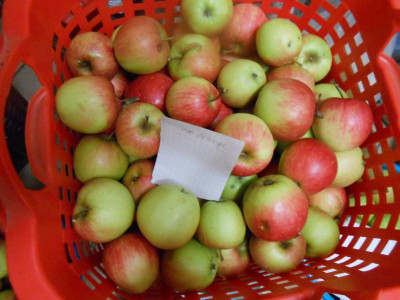 DSCN0648.JPG
