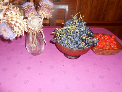 DSCN0611.JPG