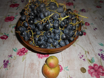 DSCN0633.JPG