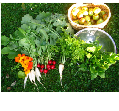 Ernte_25.09.07.jpg