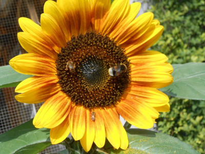 DSCN0625.JPG