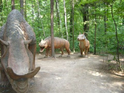 29.08.2007.12.JPG
