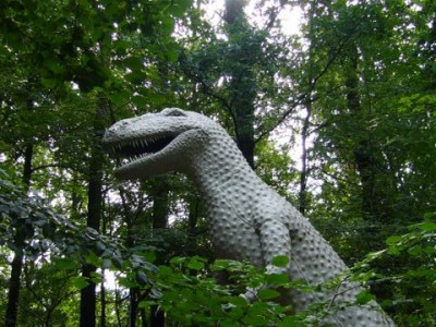 29.08.2007.15.JPG