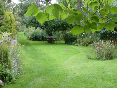 2020-09-04 Gartenimpressionen 5.jpg