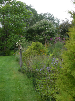 2020-09-04 Gartenimpressionen 6.jpg