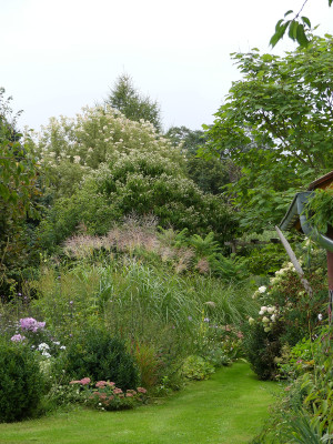 2020-09-04 Gartenimpressionen 7.jpg