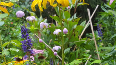 20200905_153330.jpg