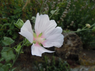DSCN0069.JPG