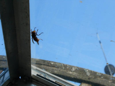 DSCN0661.JPG