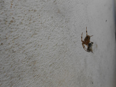 DSCN0658.JPG