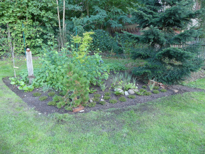 2020-09-06 Birkenhain 1.jpg