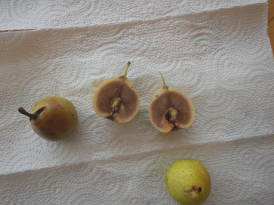 DSCN9184.JPG