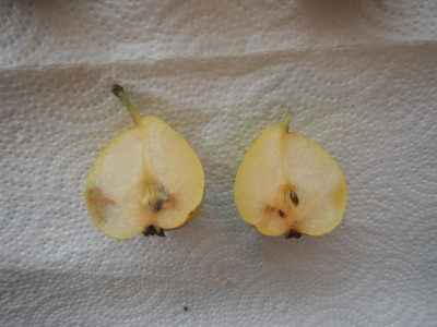 DSCN9185.JPG