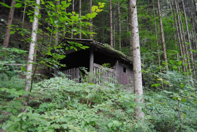 DSC_1251.JPG