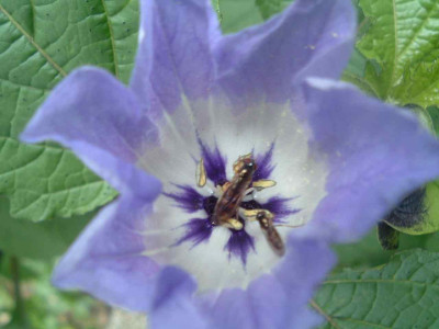 Kopie_vonDSCF3027.JPG