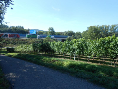 DSCN0681.JPG