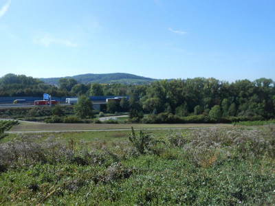 DSCN0683.JPG