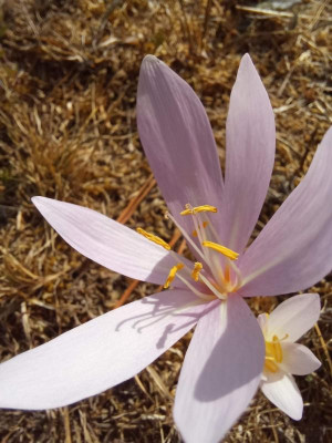 20200908_160035.jpg
