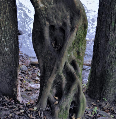 DSC_1317.JPG