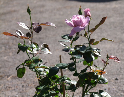 DSCF8914.JPG