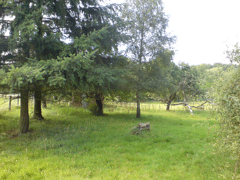 DSC00164.gif