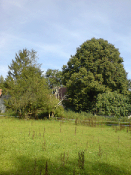 DSC00177klein.gif
