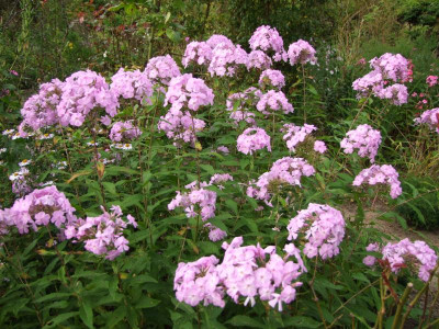 2020_0610September0027.JPG