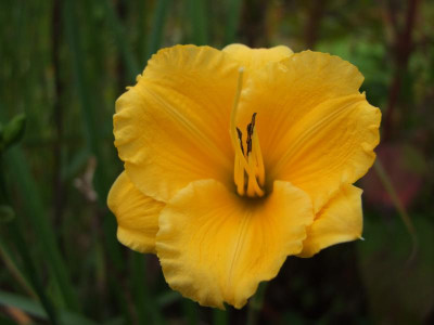 2020_0610September0040.JPG