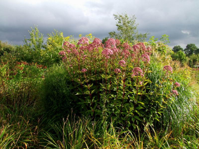 2020_0610September0063.JPG