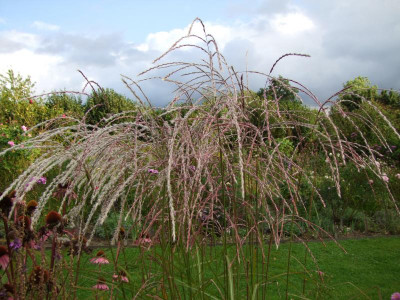 2020_0610September0086.JPG