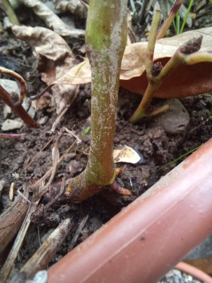 20200909_122719.jpg
