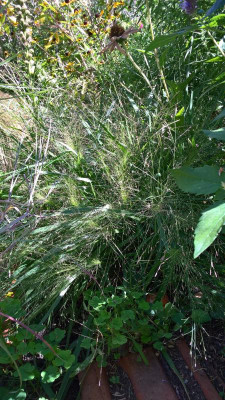 WP_20200905_13_24_55_Pro.jpg