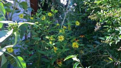 WP_20200905_15_05_29_Pro.jpg