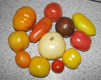 comp_2Ernte_29.09.07_007.jpg